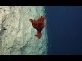 Out of this World Cirroteuthid Octopus Spotted Hovering Over Moon-like Seascape | Nautilus Live