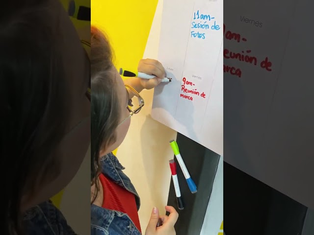 Vídeo relacionado con DIEKE Imán realista de arañas con forma de animal para nevera, cocina, oficina, pizarras, pizarras, pizarras blancas