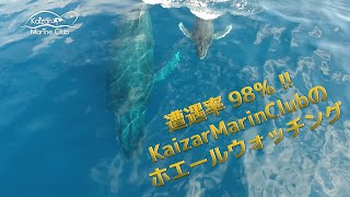 カイザーマリンクラブ(KAIZAR MARINE CLUB)