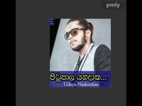 පිටූපාල යනදාක pitu pala yanadaka song udaya nadeeshan