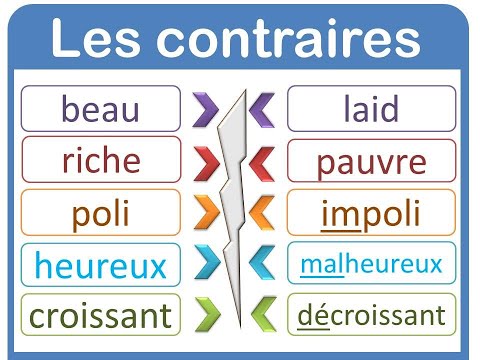 LEXIQUE :Les mots de sens contraire:Les antonymes.