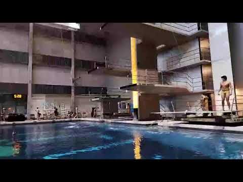 Region 8: Girls A 1m and Boys A 3m