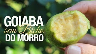 Miniatura do vídeo