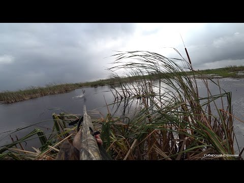 За 1 час, пол мешка уток. Вот это охота. 