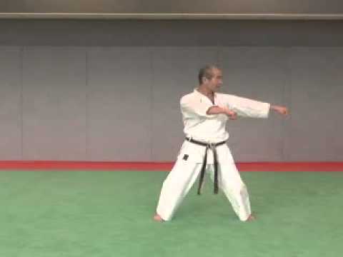 7. Naihanchi Wado Ryu