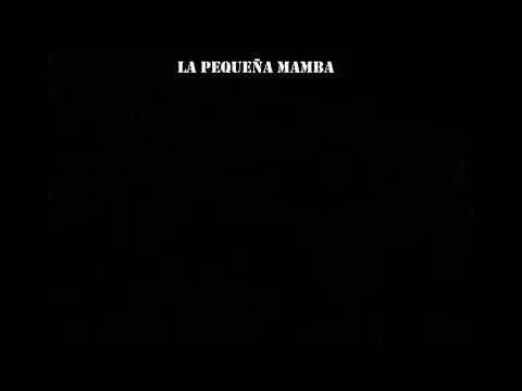 Indio solari LA PEQUEÑA MAMBA