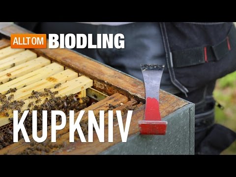 Kupkniv - ett av biodlarens viktigaste redskap - Biredskap - Biodling