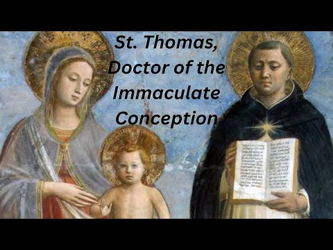 Why St. Thomas taught the Immaculate Conception in 7 Minutes!