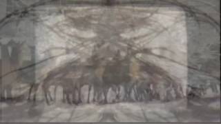 Dungen — Kalifen [Official Video]