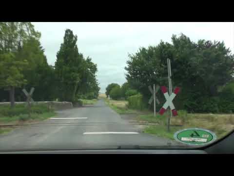 The Elvis Connections- Steinfurth, Germany