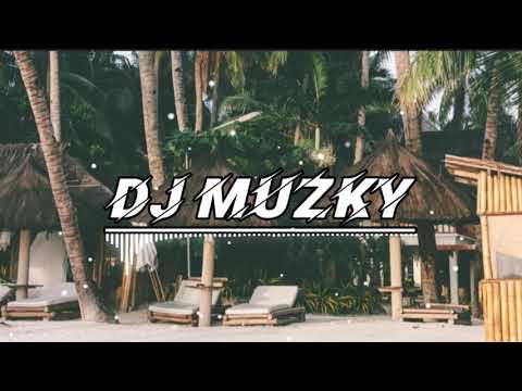 Love Tonight by Polu Paletaoga  DJ Muzky Remix 2021