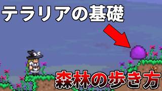 【テラリア】初心者ならここで鍛えろ！実は奥深いバイオーム「森林」について徹底解説【ゆっくり解説】