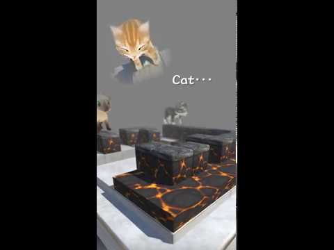 Cat Meets Cat - Sliding Puzzle