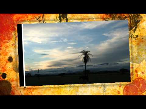 El Muerto - El Cazador Novato - Rafael Martínez