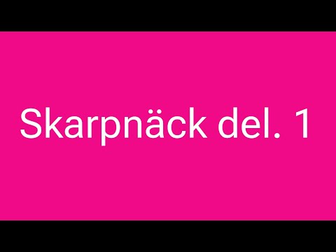 Skapnäck del. 1 🚍🚇