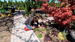 Planting Potatoes & A Bunch of Groundcovers! 🥔🌿😁 // Garden Answer