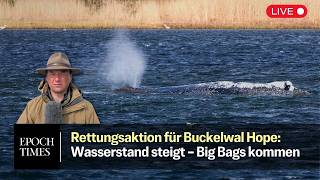 Rettungsaktion für Timmy-Hope: Offenbar grünes Licht für neues Rettungskonzept
