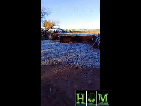 Juan Diaz / Intendente Alvear/ La Pampa/ Argentina