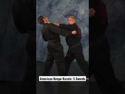 American Kenpo Karate: 5 Swords #americankenpo #kenpo #kenpokarate