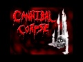 Cannibal Corpse - High Velocity Impact Spatter (8 ...