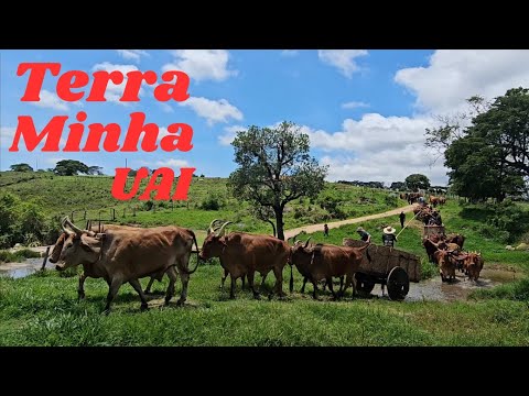 Primeiro Encontro de Carreiros,do Camarão,município de Itumirim, mg. 