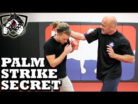 Bas Rutten's Palm Strike KO Secret Technique: Bone Strikes