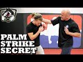 Bas Rutten S Palm Strike KO Secret Technique Bone Strikes