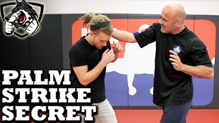 Bas Rutten&#39;s Palm Strike KO Secret Technique: Bone Strikes