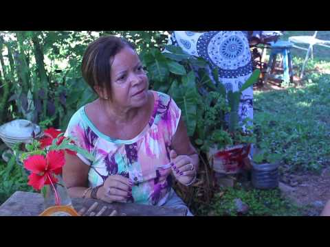 SOS Noronha - A história de uma mobilização