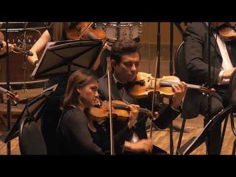 J. Bizet – R. Shchedrin «Carmen - Suite»