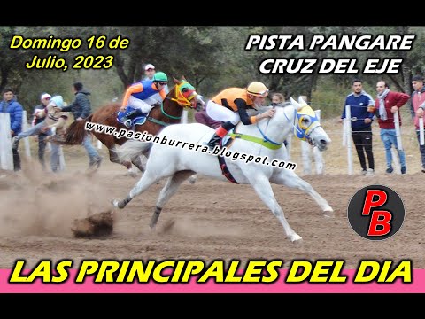 STEFI, CIELO, MADRUGADA Y PETACA: CLASICOS PISTA PANGARE (16-07-2023)