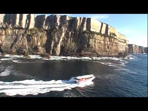 download lagu mp3 mp4 Dolphin Cruise Jervis Bay Deals, download lagu Dolphin Cruise Jervis Bay Deals gratis, unduh video klip Dolphin Cruise Jervis Bay Deals