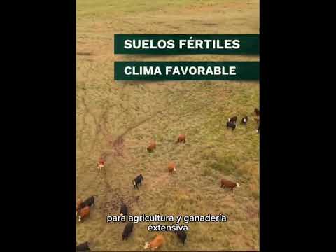 Fazenda para agricultura em Colônia Palma, departamento de Artigas, Uruguai.