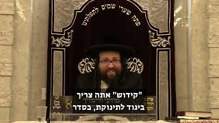 שופכים כסף על מסיבה של כמה שעות  הרב יואל ראטה שליטא (הרב יואל ראטה) - התמונה מוצגת ישירות מתוך אתר האינטרנט יוטיוב. זכויות היוצרים בתמונה שייכות ליוצרה. קישור קרדיט למקור התוכן נמצא בתוך דף הסרטון