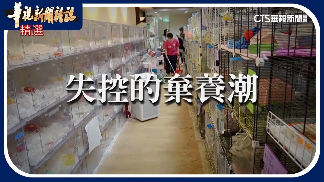 失控的棄養潮｜華視新聞雜誌｜精選