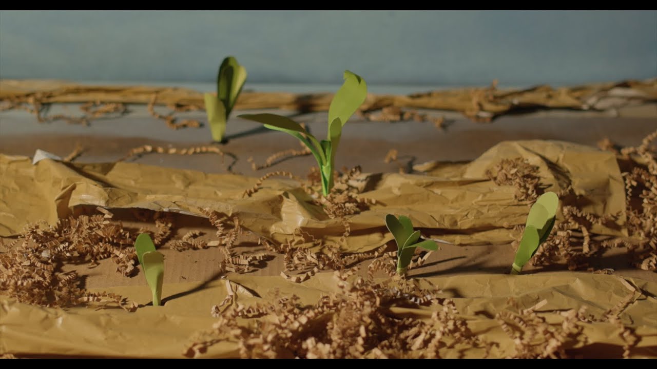 Roots Community Food Centre Launch