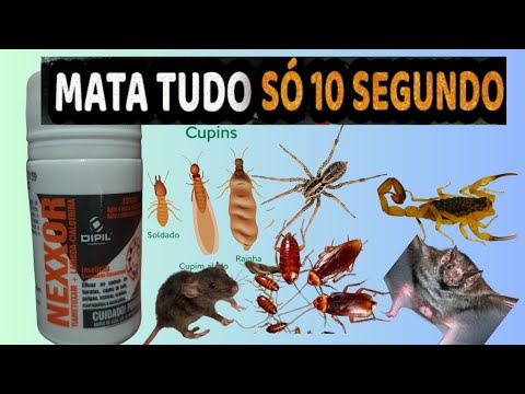 Mata ,Baratas,moscas,aranha,ratos,morcegos,cupim,pulgas,carrapato,gafanhoto,(veneno dipil)