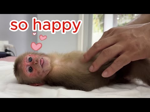 Baby Monkey Kyo Is Addicted to Dad’s Care Because It’s Just Too Special!