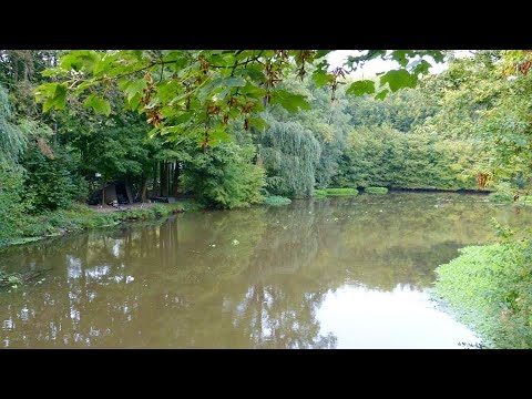 Karpfenangeln Videotagebuch 29 - Kleinflussangeln -  Montagen,Gerät & Futter