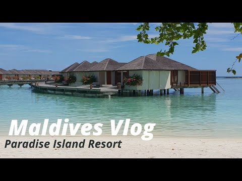 Maldives Vlog ! Paradise Island Resort !Travel Experience