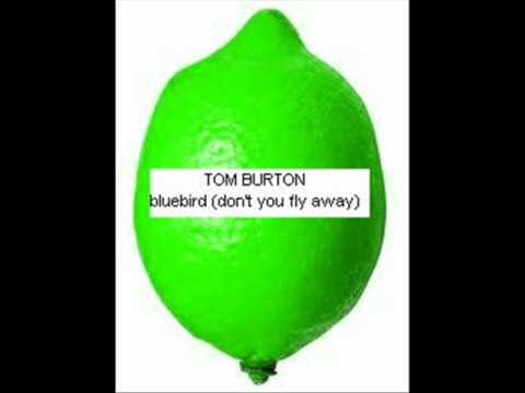 bluebird (don't you fly away) - tom burton