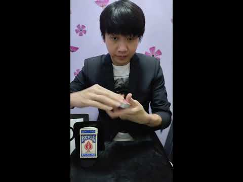 INTERSECTION by HONDO