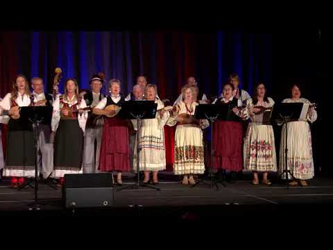 2019 CFU Adult TamFEST: Hrvatsko Srce