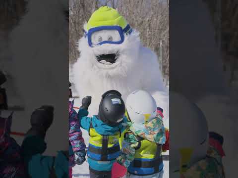 Family Ski &amp; Snowboard Lessons in Hakuba Japan | Evergreen International Ski School
