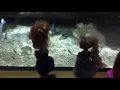 Disney Frozen Anna Elsa Visit The Aquarium Fish Manta Jellyfish Crabs