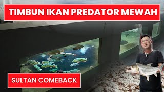 HOBIES KELEWAT SULTAN !!! TIMBUN RATUSAN IKAN PREDATOR MEWAH HABISKAN MILIARAN DEMI HOBI SEMATA