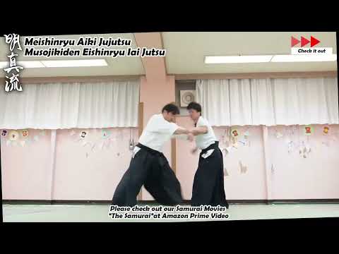 Meishinryu Aikido techniques 明真流　合気道の稽古 #aikido #合気道 #天照会 2025 0508 01