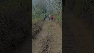 Download lagu Optimis Mengejar mp3