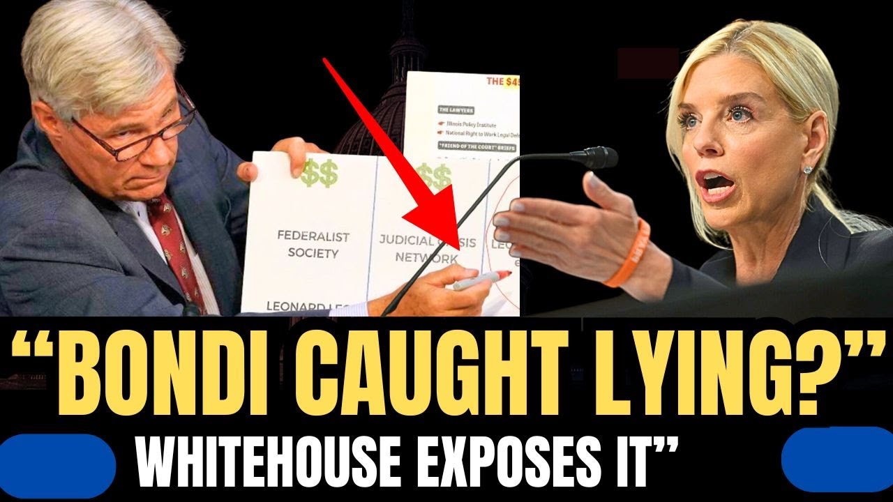 BONDI EXPOSED WHITEHOUSE CALLS OUT “PROVABLE LIES