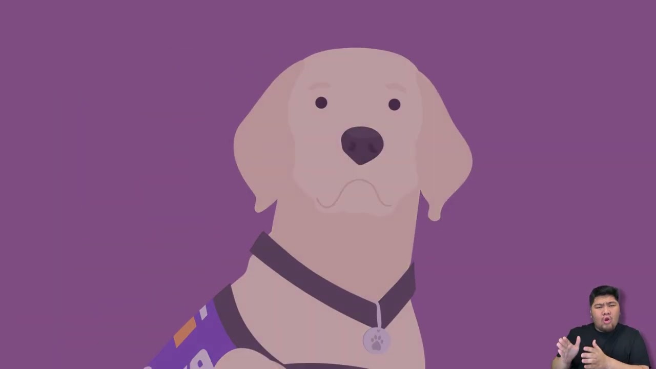 Assistance Dog Etiquette: Respect the Work They Do